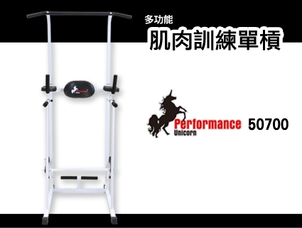 Performance 台灣精品 X-BIKE 50700 多功能 肌肉訓練單槓/仰臥起坐伏地挺身架/鞍馬運動